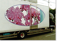 花卉（かき）運搬車販売